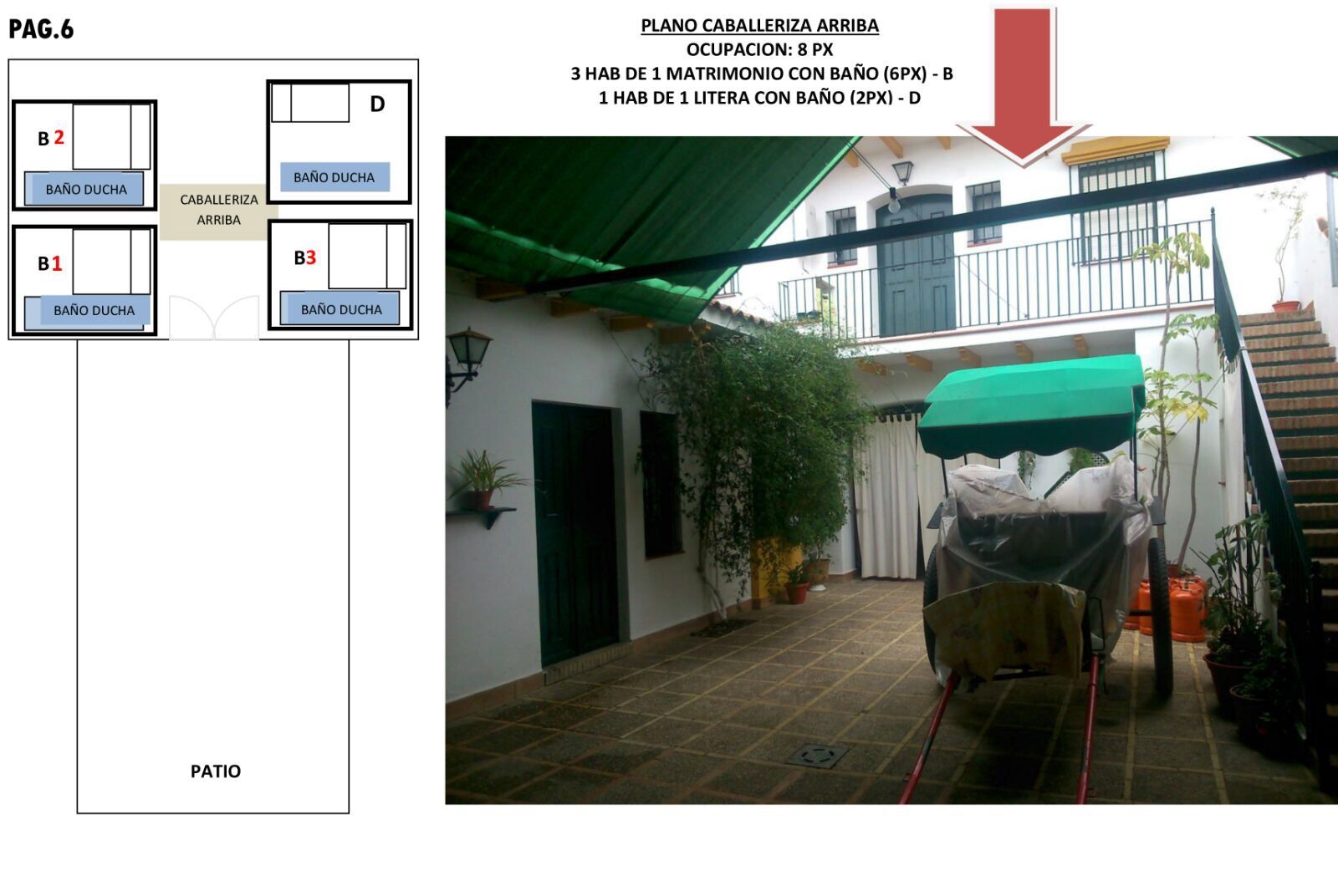 Casa en El Rocío con cuadras: Turismo rural de Casa en El Rocío Casa en El Rocío con cuadras: Turismo rural de Casa en El Rocío