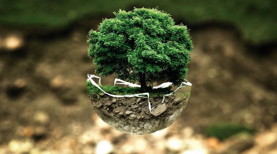 Empresa de limpieza ecológica en Bilbao Empresa de limpieza ecológica en Bilbao