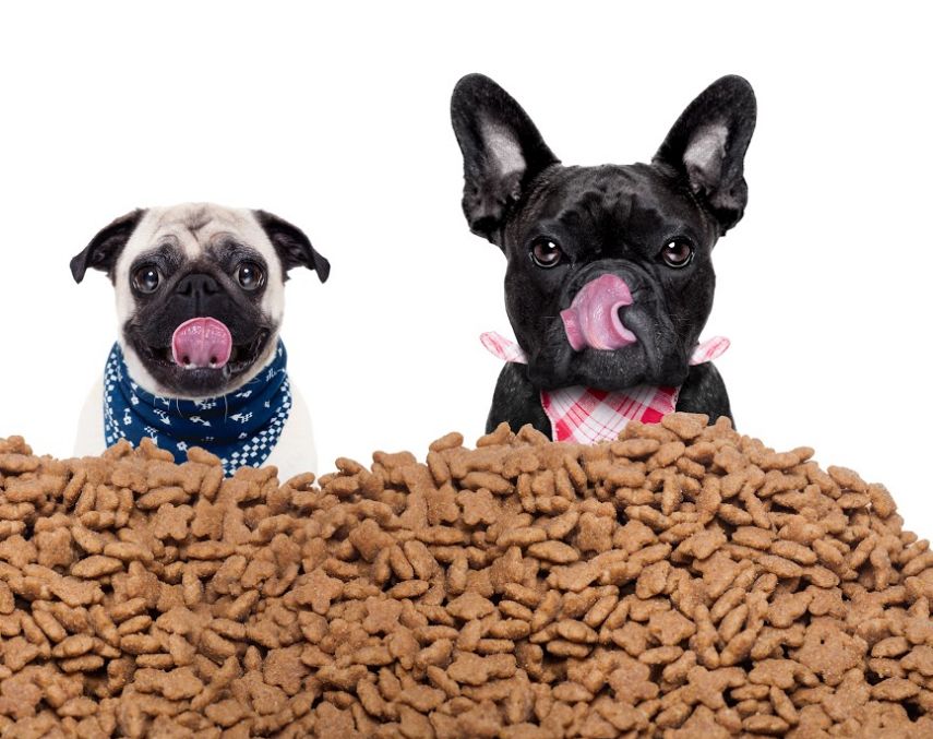 Alimentación: Servicios de Peludines Alimentación: Servicios de Peludines