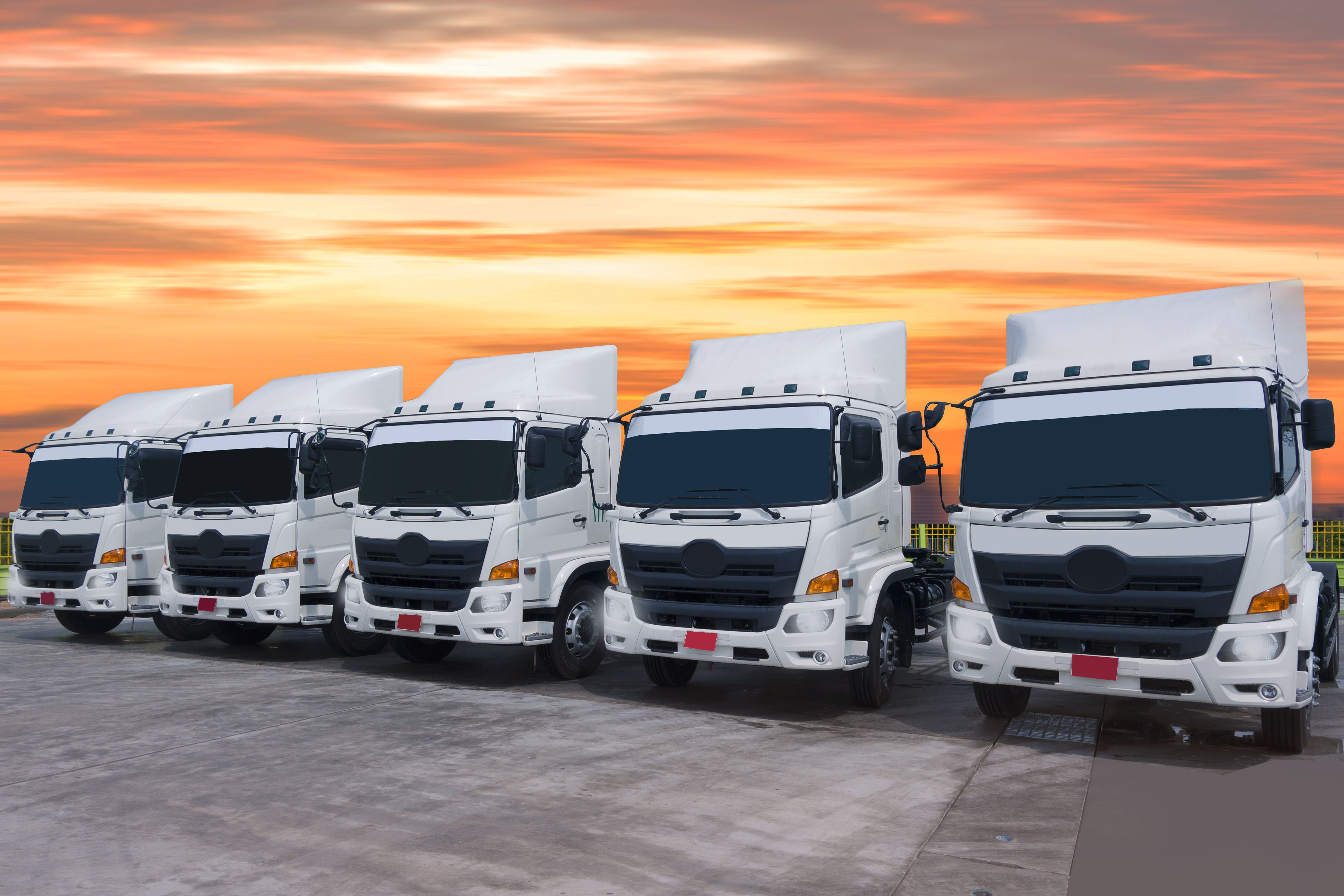 Flota de vehículos: Catálogo de Transportes Peña Flota de vehículos: Catálogo de Transportes Peña