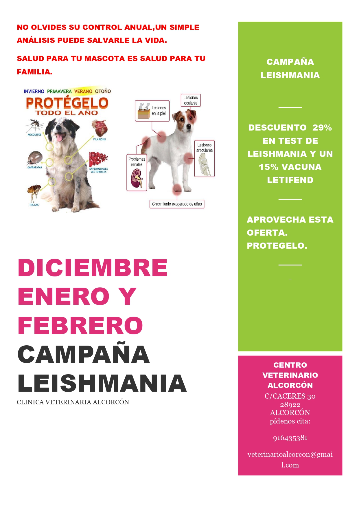 Campaña leishmania: Servicios de Veterinario Alcorcón Campaña leishmania: Servicios de Veterinario Alcorcón