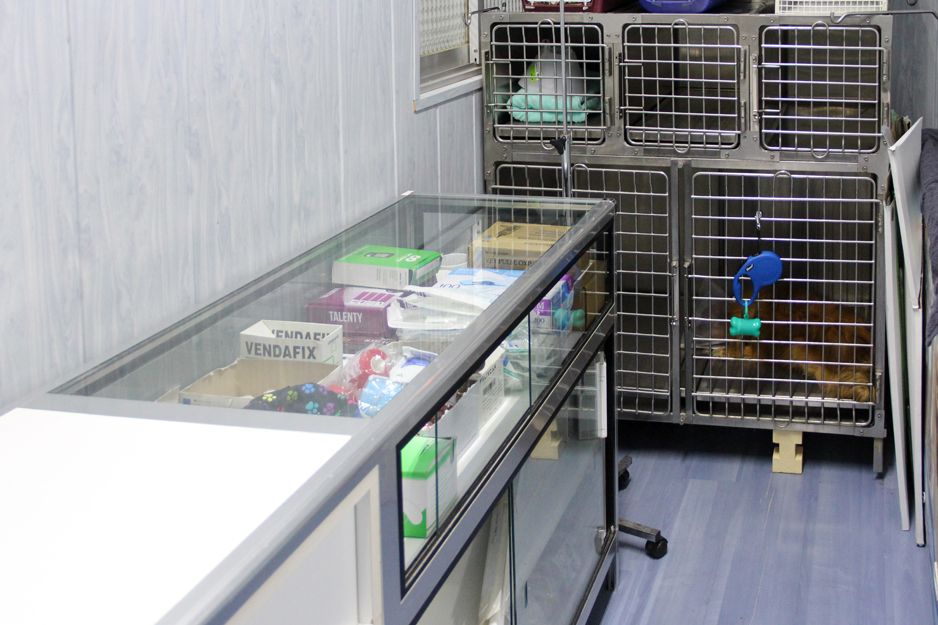 Vacunas para animales en Alcorcón