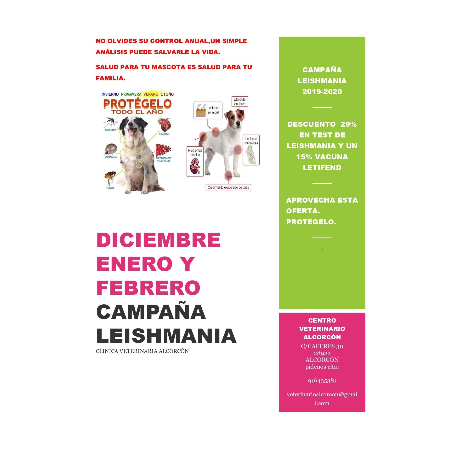 Campaña de leishmania: Servicios de Veterinario Alcorcón Campaña de leishmania: Servicios de Veterinario Alcorcón