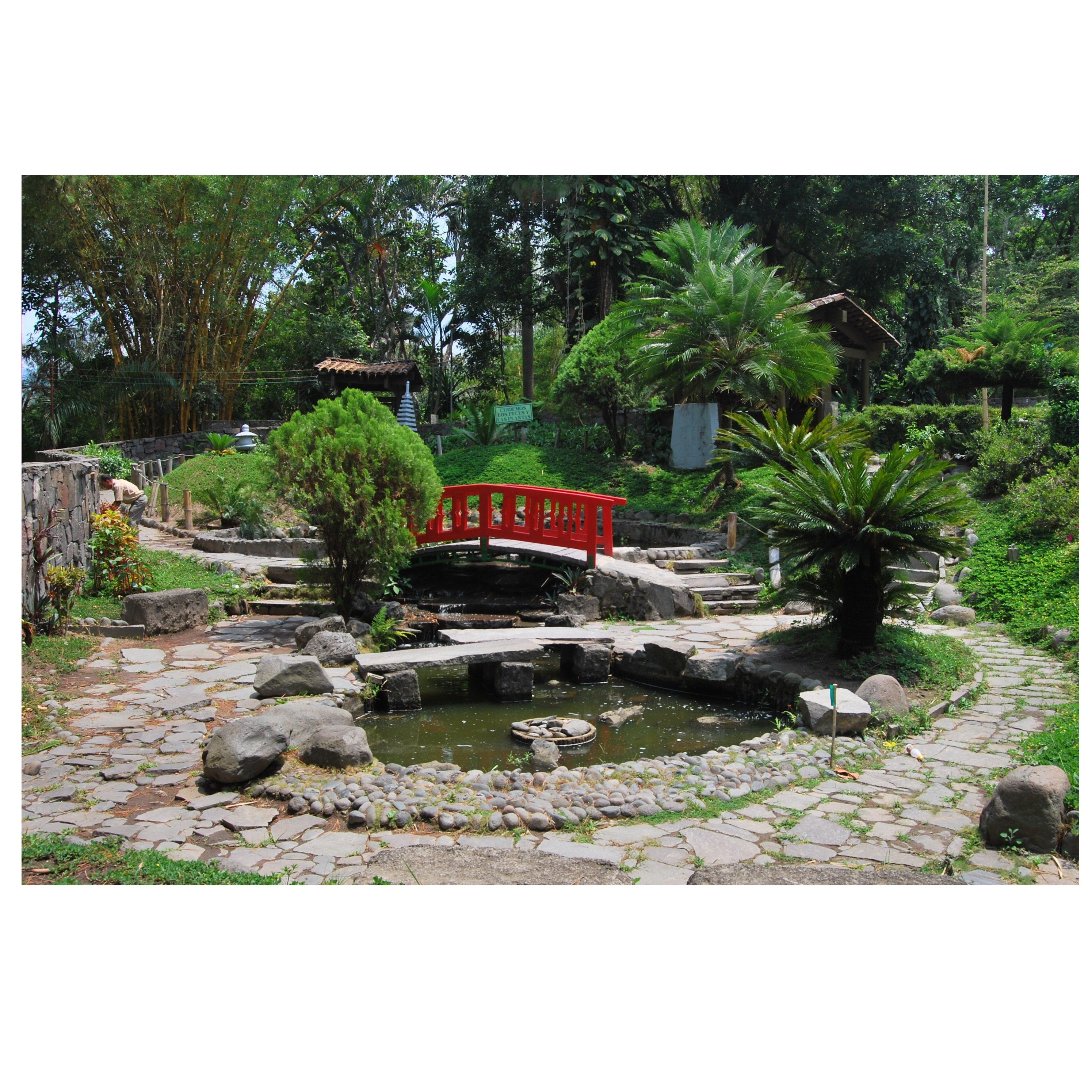 Jardín japones: Servicios de Sebastián Martínez Cosín Jardín japones: Servicios de Sebastián Martínez Cosín
