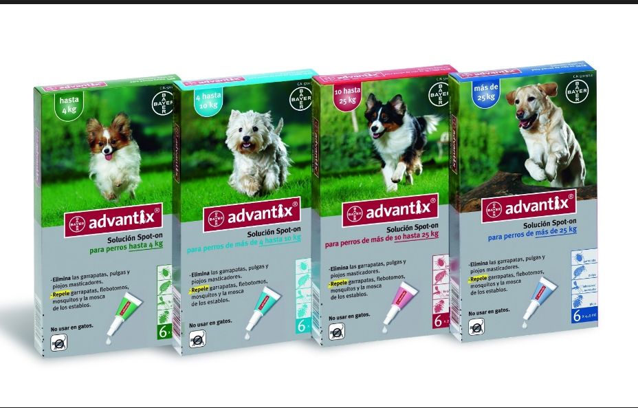 Antiparasitarios externos: Productos de Noemas Antiparasitarios externos: Productos de Noemas