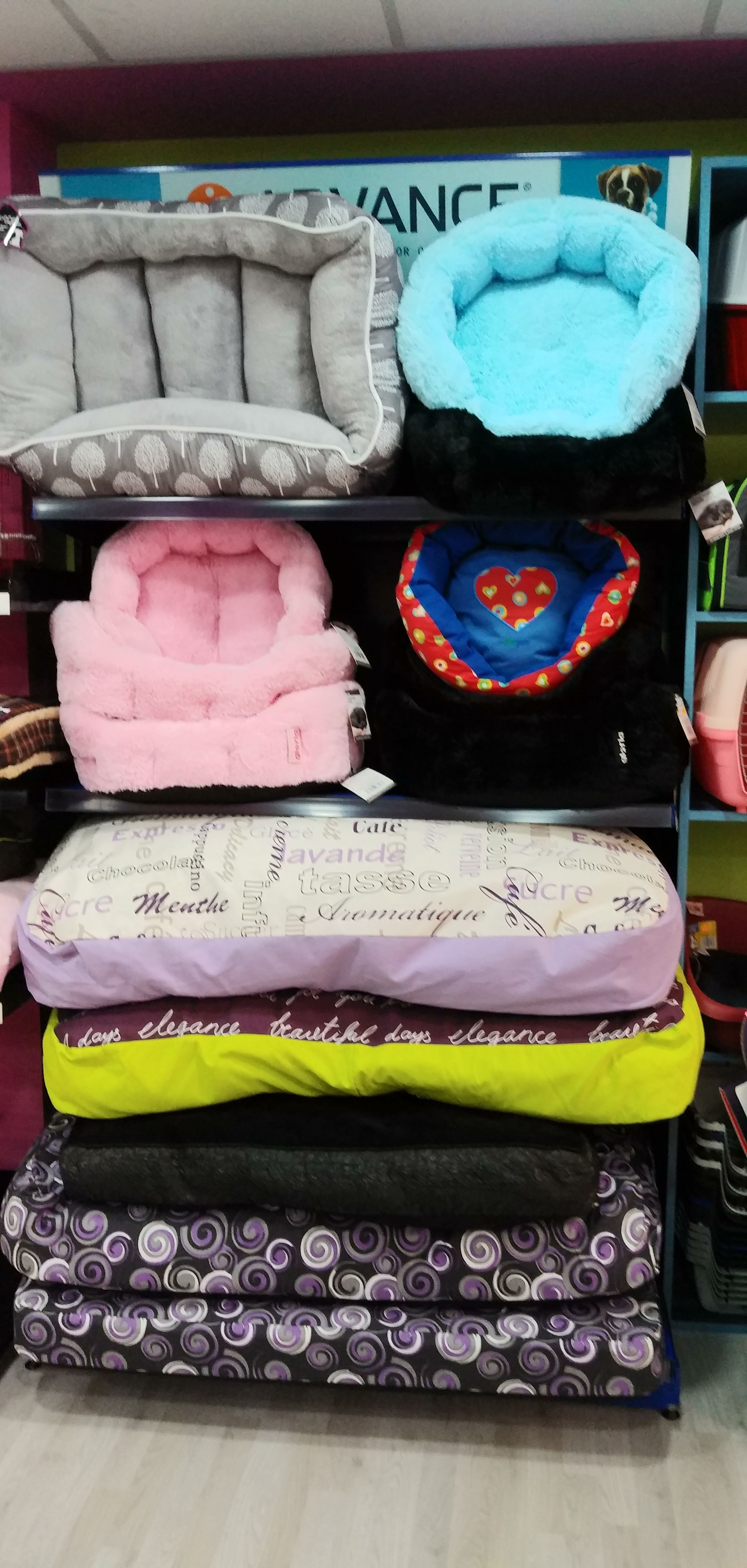 Accesorios: Productos de Noemas Accesorios: Productos de Noemas