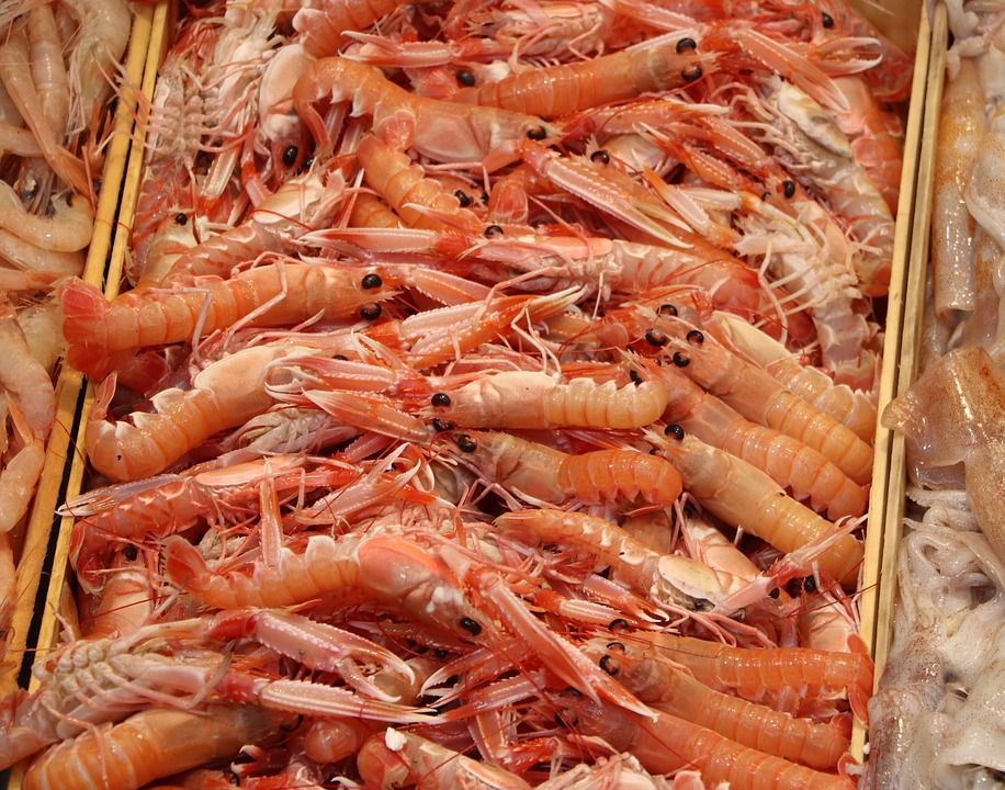 Mariscos: Pescados y mariscos de Pescadería Motrileña Mariscos: Pescados y mariscos de Pescadería Motrileña