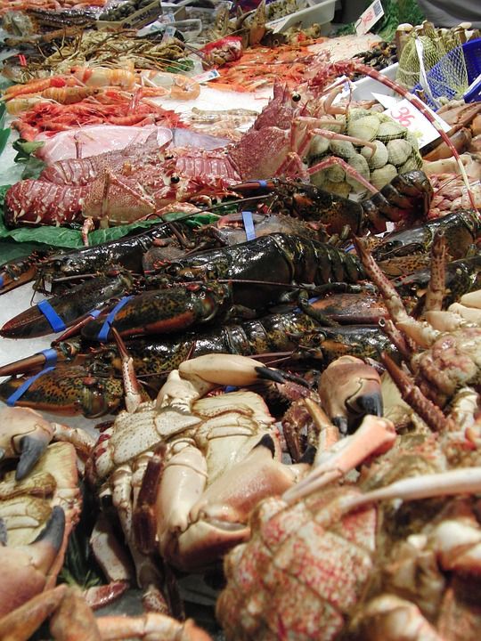 Mariscos: Pescados y mariscos de Pescadería Motrileña Mariscos: Pescados y mariscos de Pescadería Motrileña