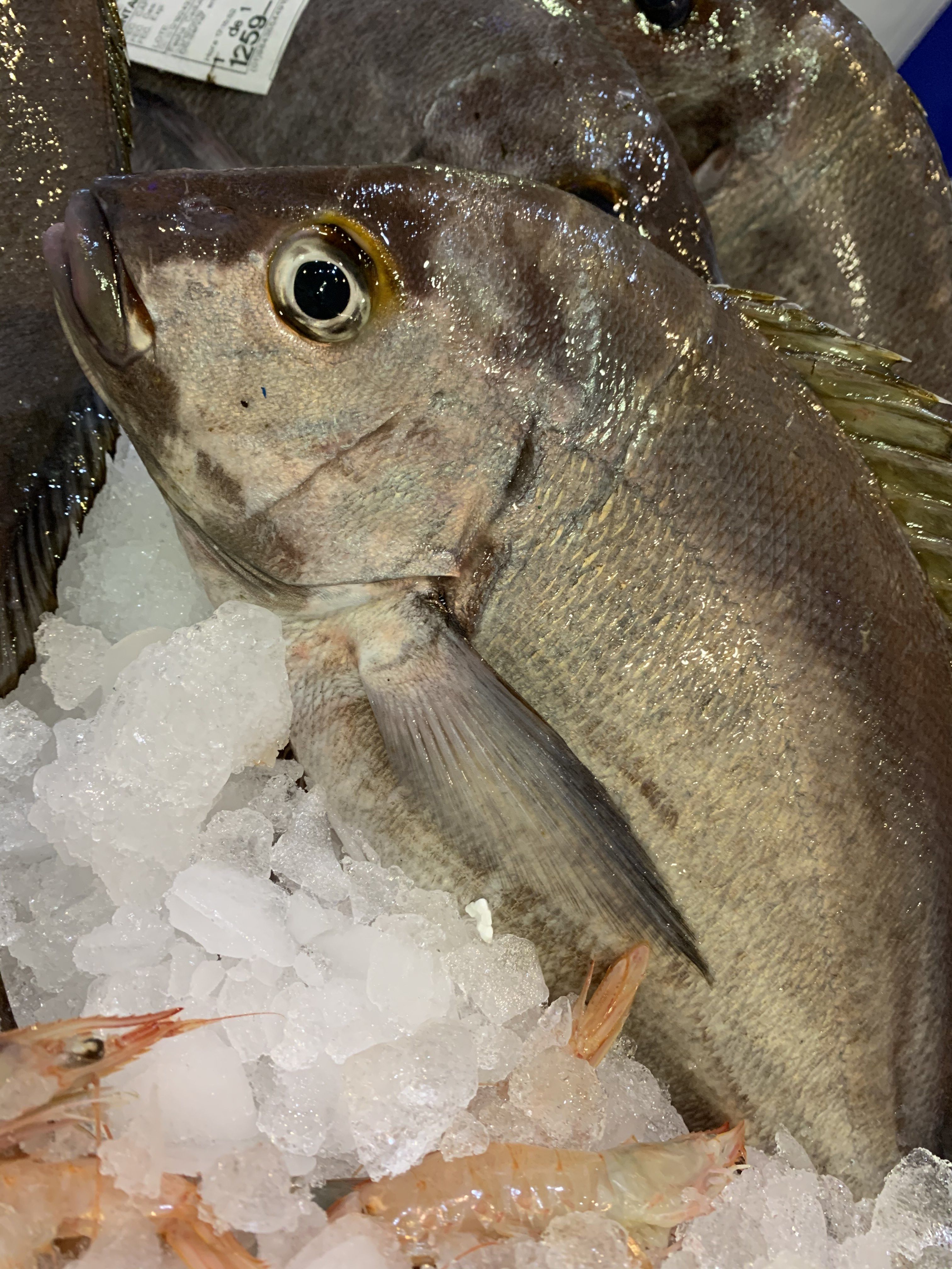 Nuestros pescados: Pescados y mariscos de Pescadería Motrileña Nuestros pescados: Pescados y mariscos de Pescadería Motrileña