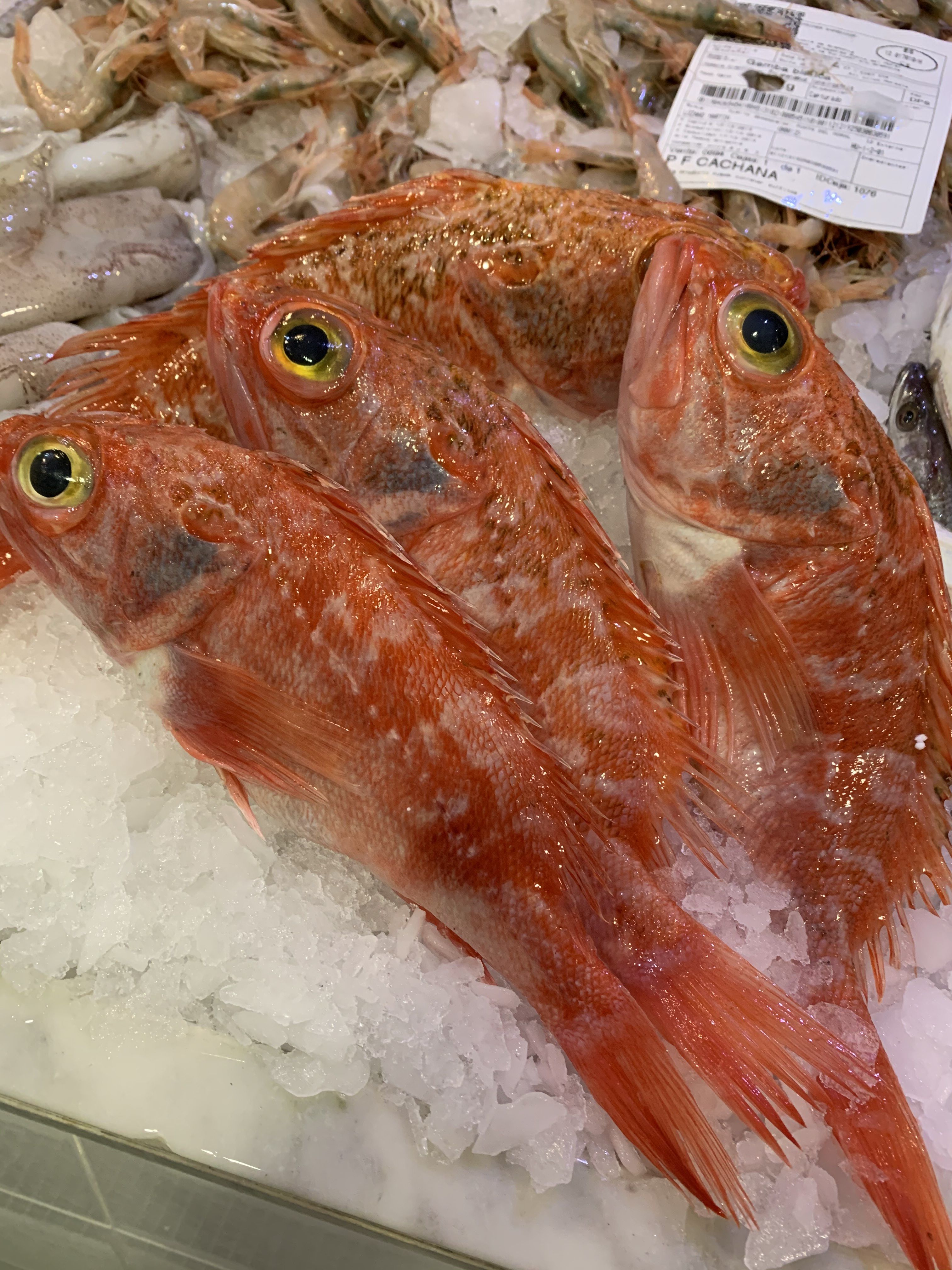 Pescados frescos: Pescados y mariscos de Pescadería Motrileña Pescados frescos: Pescados y mariscos de Pescadería Motrileña