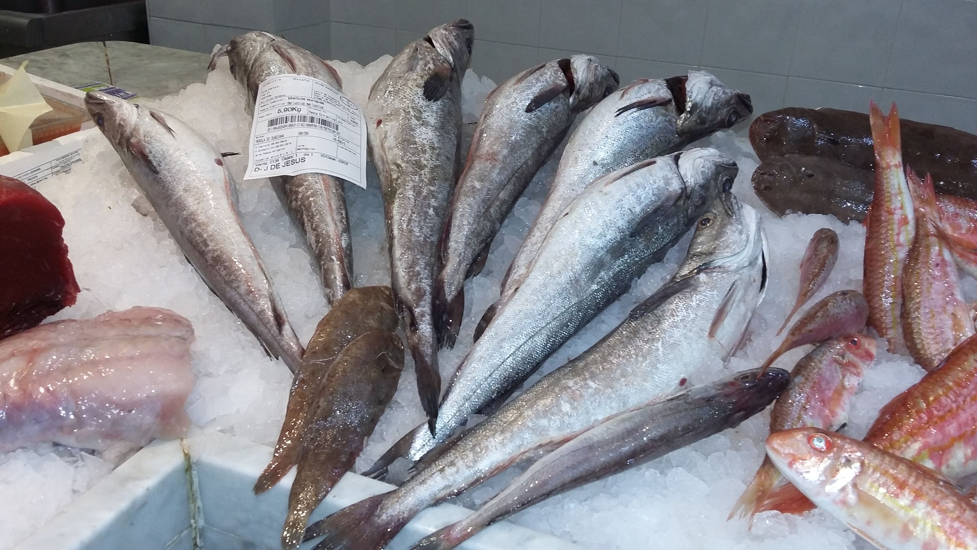 Pescados frescos: Pescados y mariscos de Pescadería Motrileña Pescados frescos: Pescados y mariscos de Pescadería Motrileña