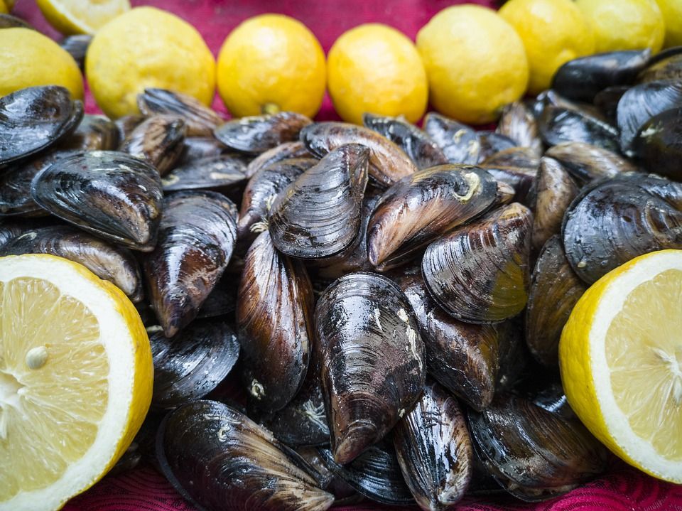 Moluscos: Pescados y mariscos de Pescadería Motrileña Moluscos: Pescados y mariscos de Pescadería Motrileña