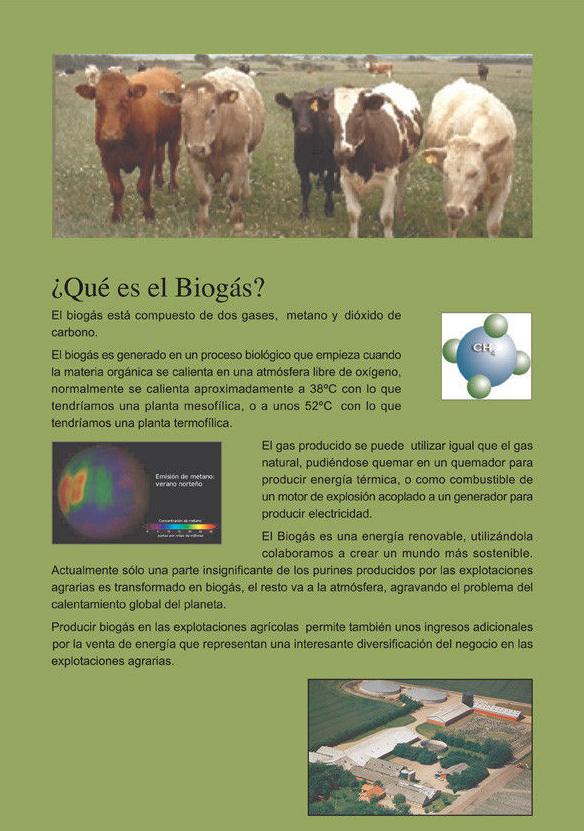 Biogas: Productos y servicios de Ecoen Solucions Energètiques Biogas: Productos y servicios de Ecoen Solucions Energètiques