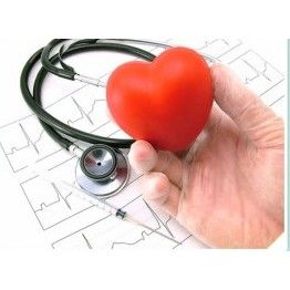 Cardiología: Servicios de Clínica Veterinaria Felicán Tafira Cardiología: Servicios de Clínica Veterinaria Felicán Tafira