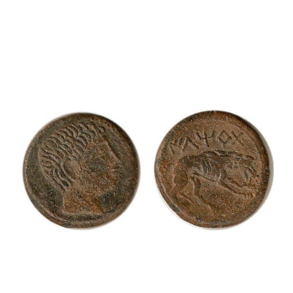 Moneda ibérica: Productos de Numismática Peiró Moneda ibérica: Productos de Numismática Peiró