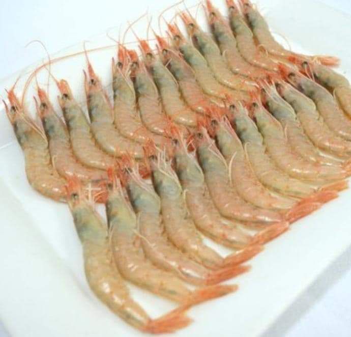 Nuestra especialidad: mariscos y pescados: de Restaurante Cervecería Ana Belén Nuestra especialidad: mariscos y pescados: de Restaurante Cervecería Ana Belén