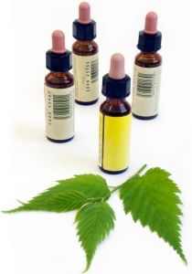 Terapia floral: Cursos y productos de Racó Esoteric Font de mi Salut Terapia floral: Cursos y productos de Racó Esoteric Font de mi Salut