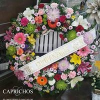 Difuntos: TIENDA ONLINE Y CATÁLOGO de Floristería y Regalos Caprichos Parla Difuntos: TIENDA ONLINE Y CATÁLOGO de Floristería y Regalos Caprichos Parla