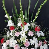 Difuntos: TIENDA ONLINE Y CATÁLOGO de Floristería y Regalos Caprichos Parla Difuntos: TIENDA ONLINE Y CATÁLOGO de Floristería y Regalos Caprichos Parla