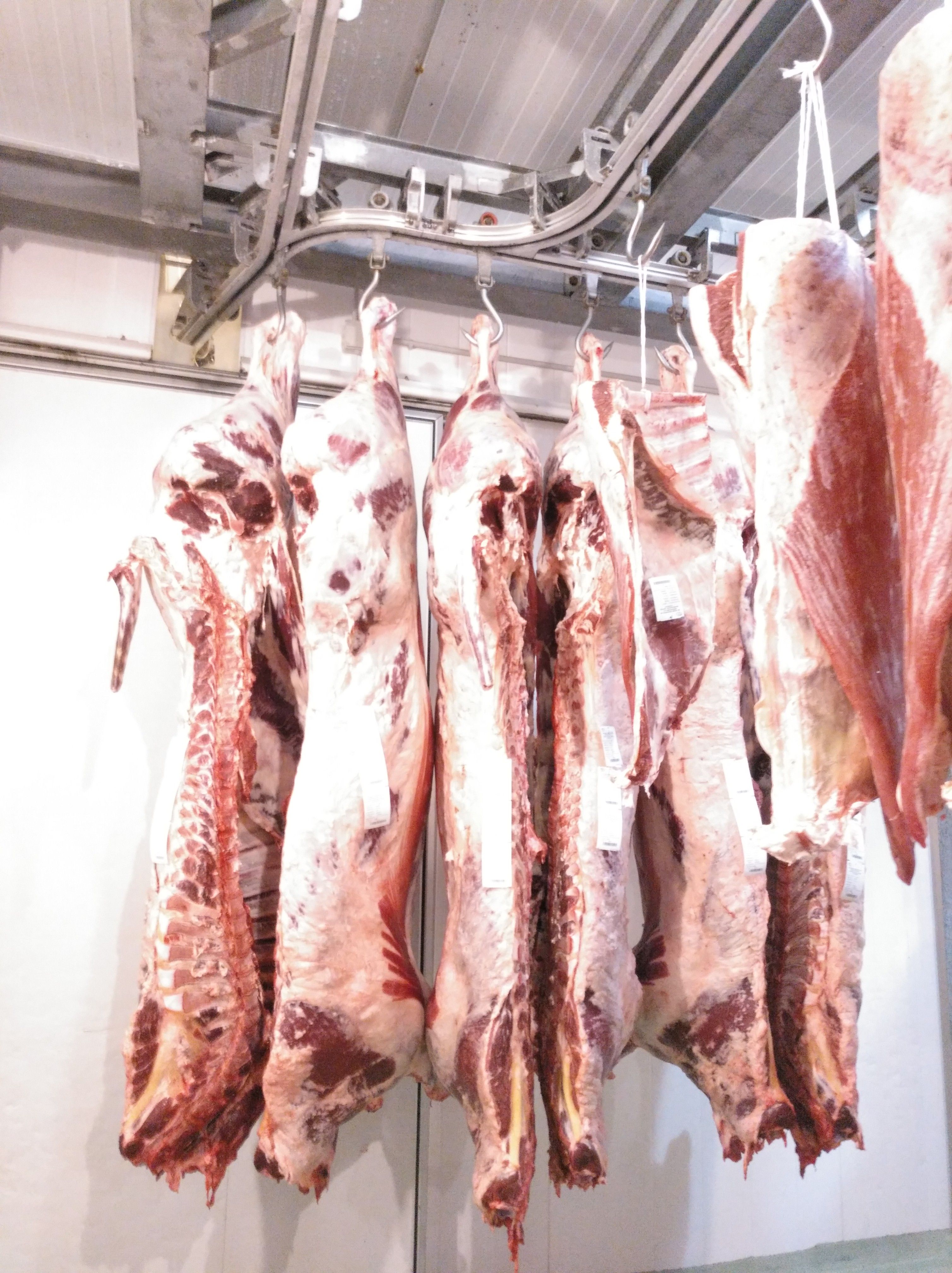 Ganadería propia y matadero: Productos de Carnicería Muñogalindo Ganadería propia y matadero: Productos de Carnicería Muñogalindo