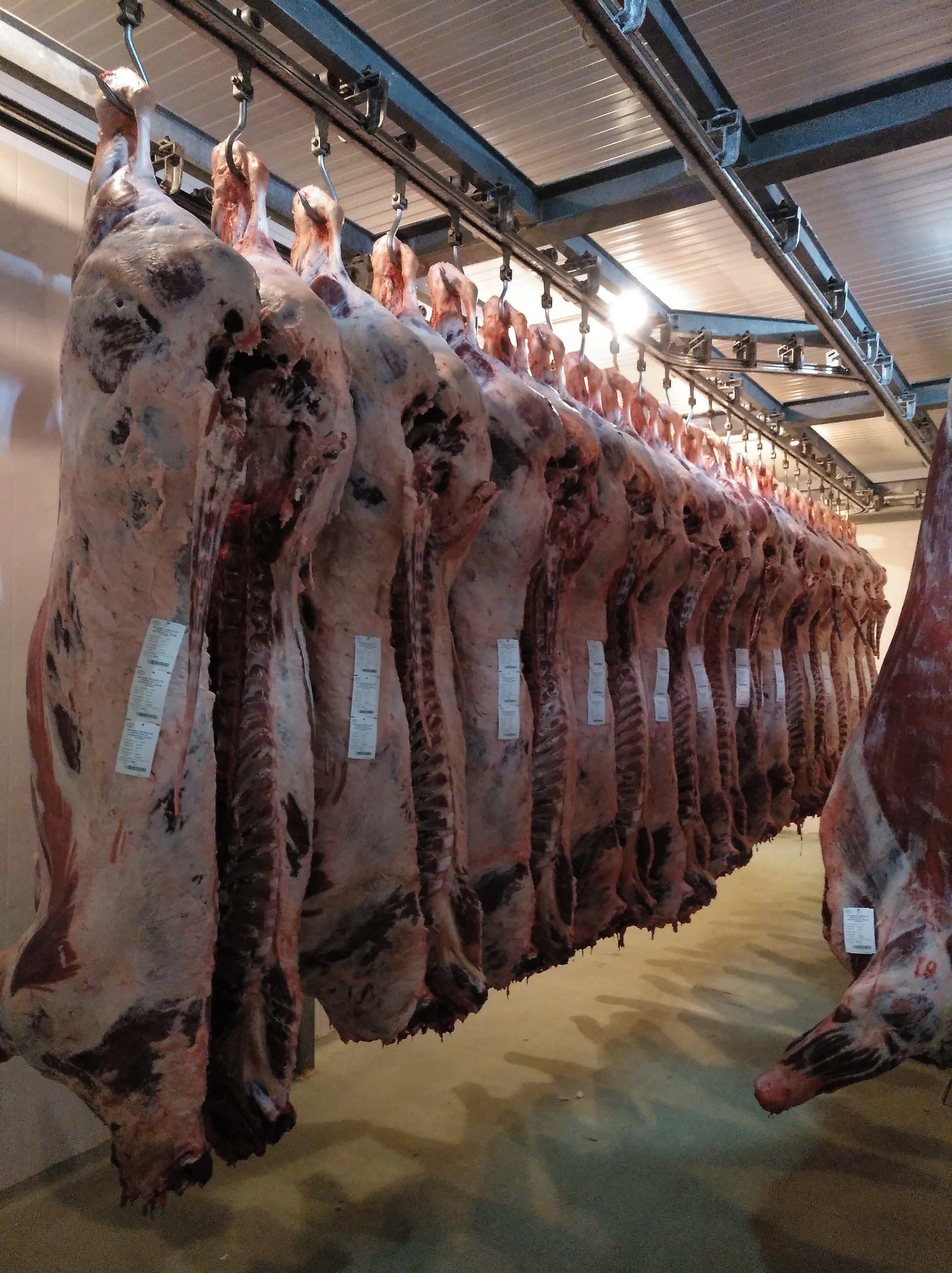 Ganadería propia y matadero: Productos de Carnicería Muñogalindo Ganadería propia y matadero: Productos de Carnicería Muñogalindo