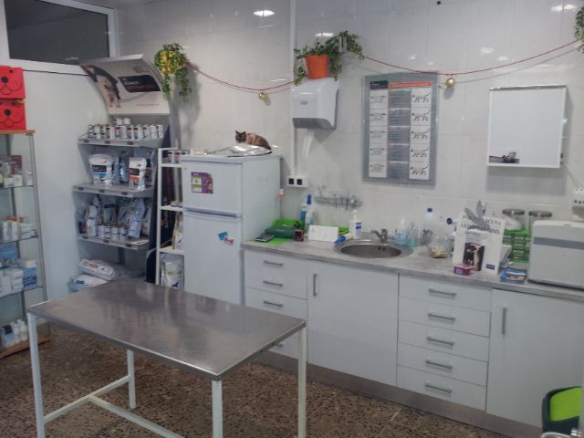 Medicina interna: Servicios de Centre Veterinari del Foix Medicina interna: Servicios de Centre Veterinari del Foix