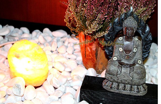 Otros servicios: Servicios de Dharana Yoga Centro Otros servicios: Servicios de Dharana Yoga Centro