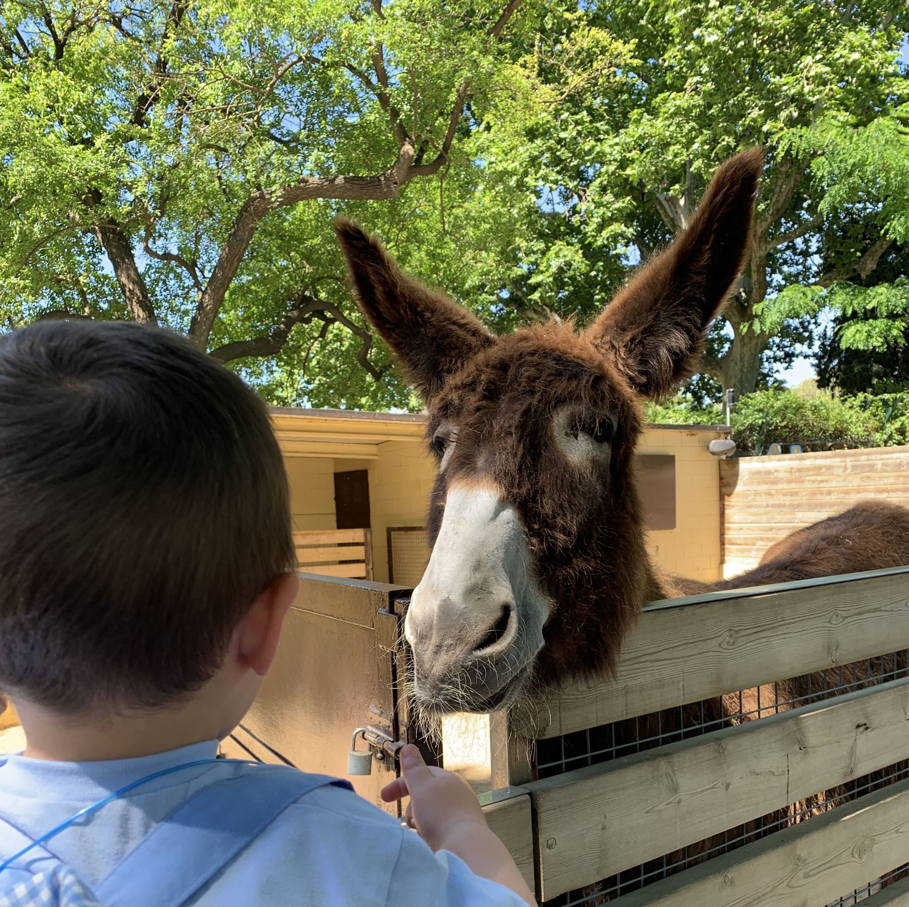 Excursiones: Servicios e Instalaciones de Llar d'infants Petits Gegants Excursiones: Servicios e Instalaciones de Llar d'infants Petits Gegants