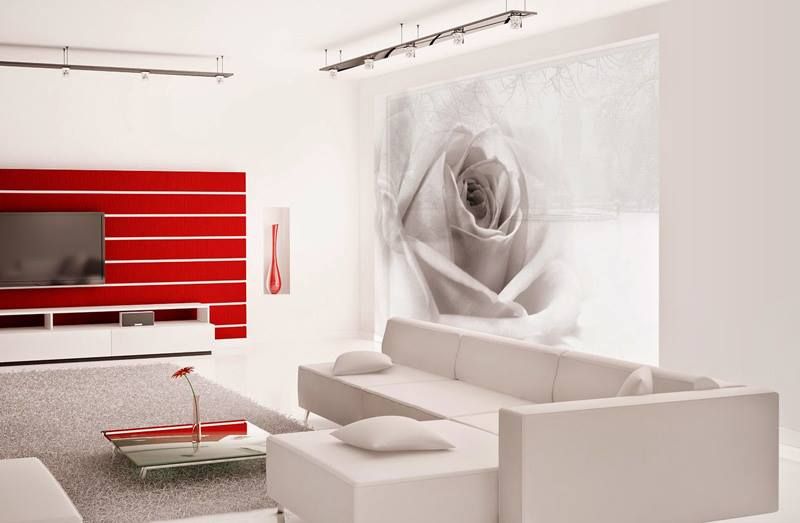 Cortinas: Productos de Gemma Nature Cortinas: Productos de Gemma Nature
