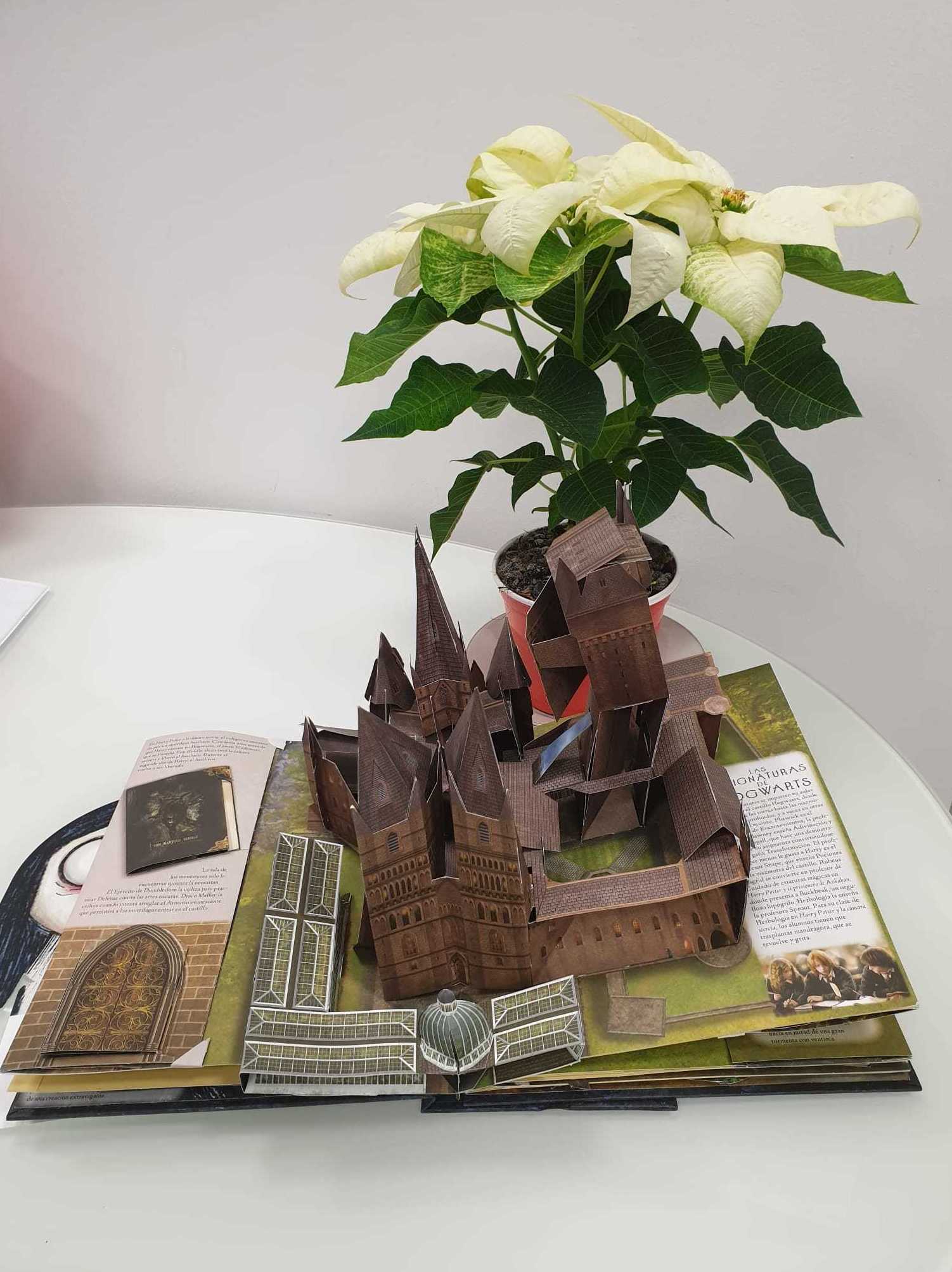 LA GUÍA POP-UP DE HARRY POTTER: El Bosque de las Palabras de Librería Infantil El Hada Lucía LA GUÍA POP-UP DE HARRY POTTER: El Bosque de las Palabras de Librería Infantil El Hada Lucía
