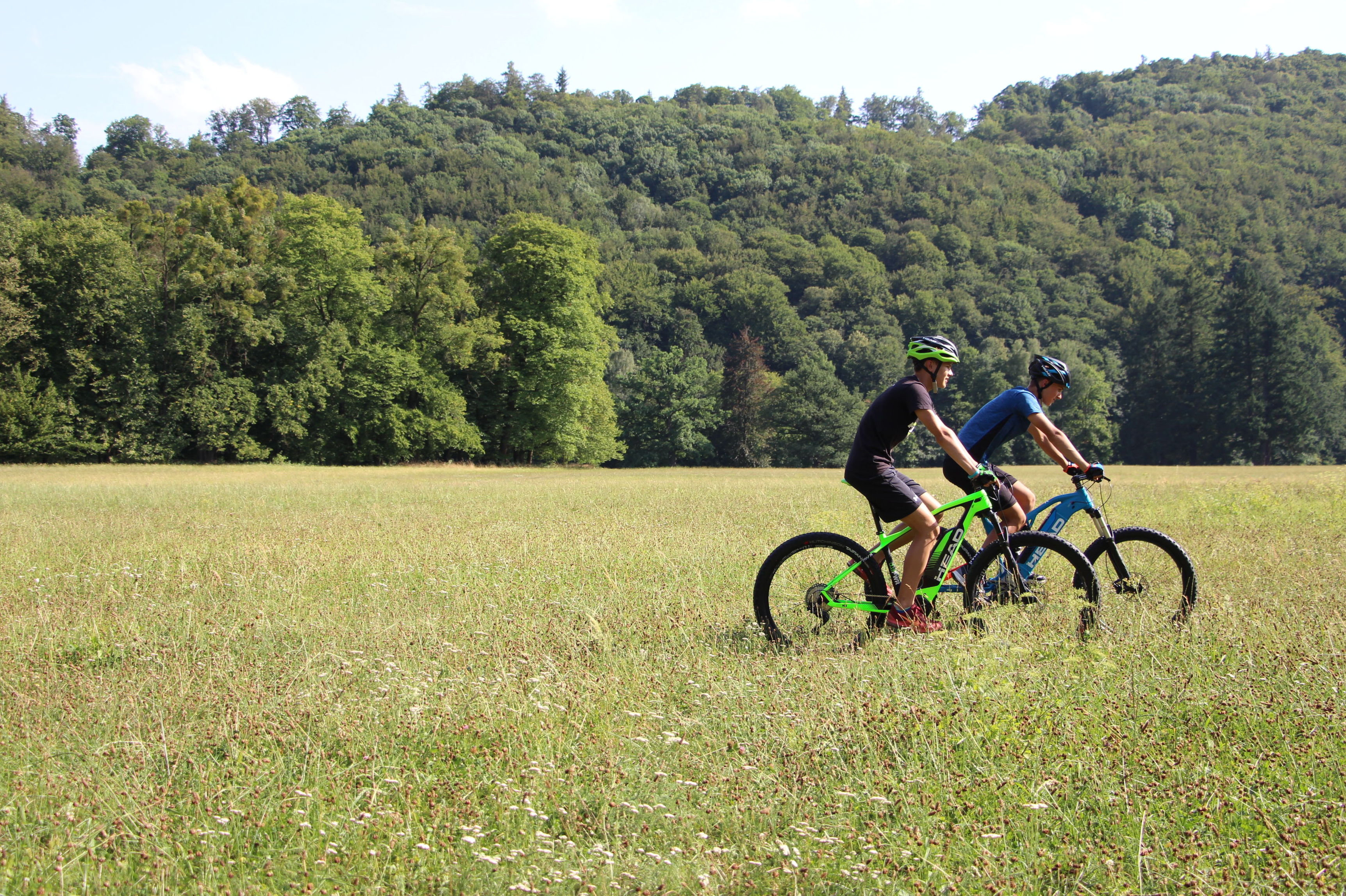 HEAD e-bikes modelos Volta y Sfax HEAD e-bikes modelos Volta y Sfax