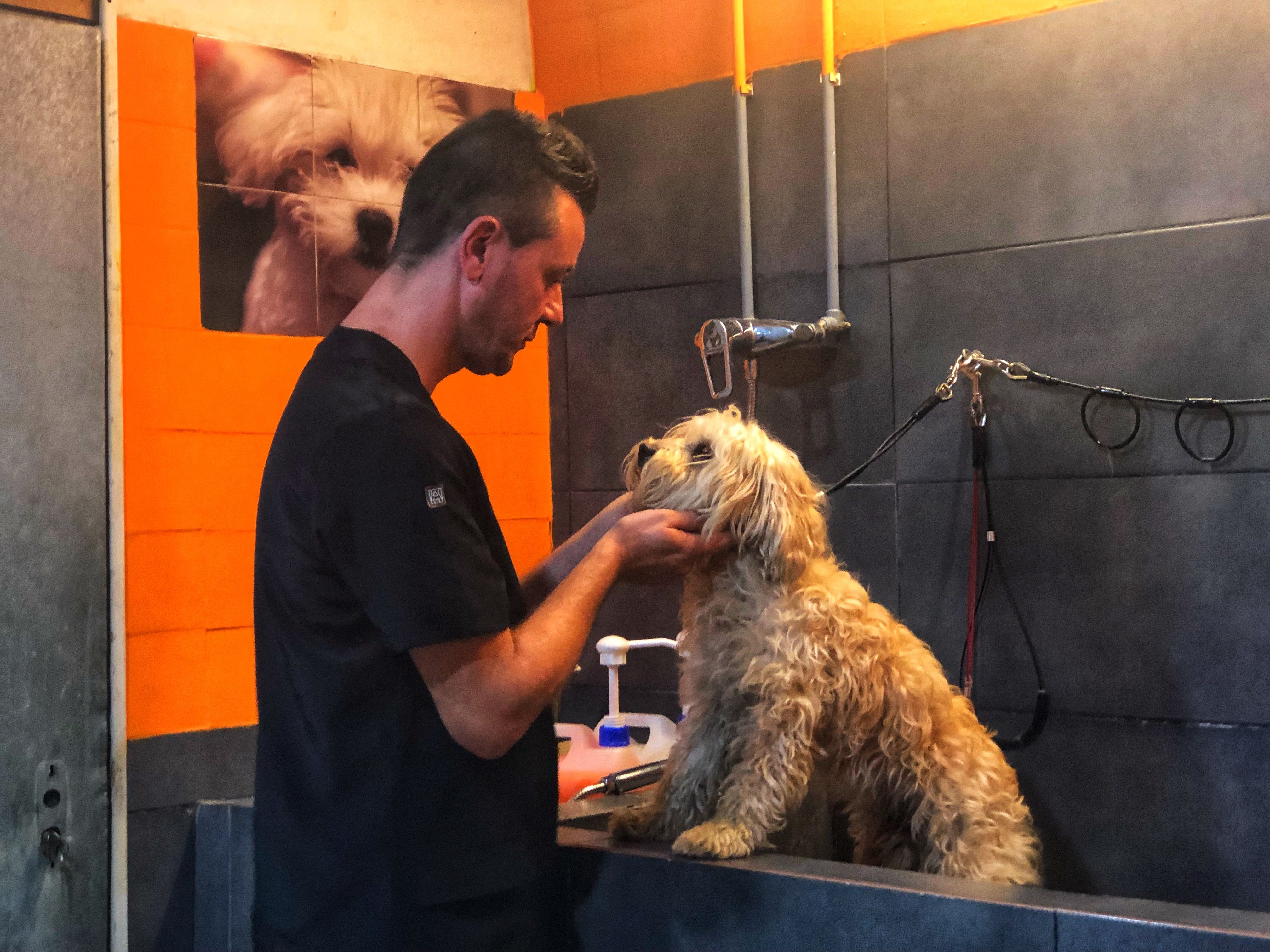 Peluquería canina: Servicios de Peluquería Canina Lovedogs Peluquería canina: Servicios de Peluquería Canina Lovedogs