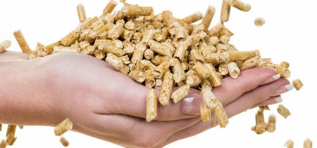 Con el uso de las estufas y calderas de pellets, no sólo disfruta de un ahorro económico importante, además está colaborando con el medio ambiente. Se trata de un combustible totalmente ecológico,no aumenta las emisiones de CO2 a la atmósfera. Con el uso de las estufas y calderas de pellets, no sólo disfruta de un ahorro económico importante, además está colaborando con el medio ambiente. Se trata de un combustible totalmente ecológico,no aumenta las emisiones de CO2 a la atmósfera.