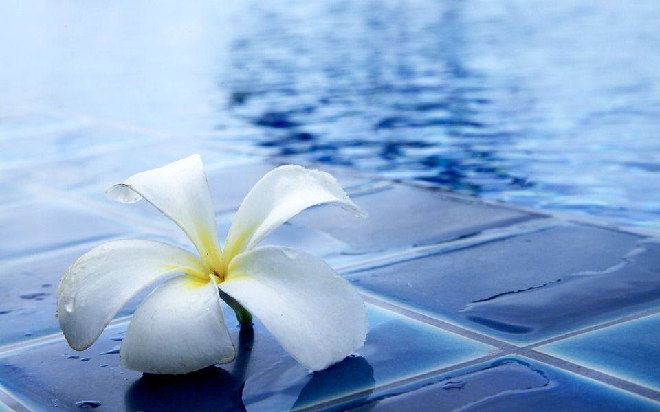 Filtración y herramientas para piscinas Filtración y herramientas para piscinas