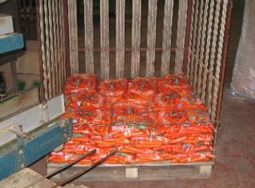 Distribución de zanahorias