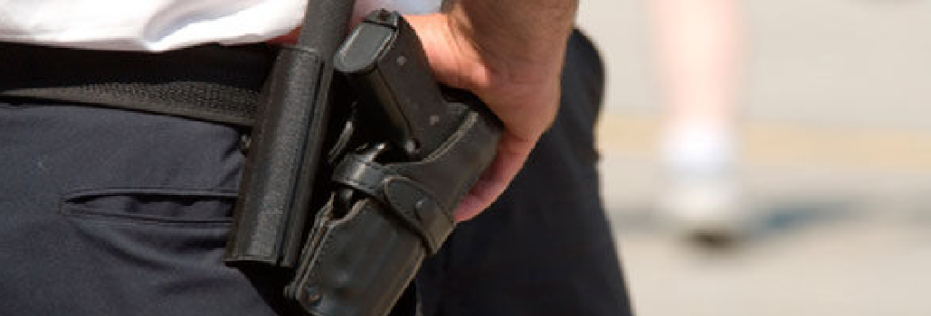 Licencias para el ejercicio de funciones de custodia y vigilancia: Catálogo de Cerma, S.L. Licencias para el ejercicio de funciones de custodia y vigilancia: Catálogo de Cerma, S.L.
