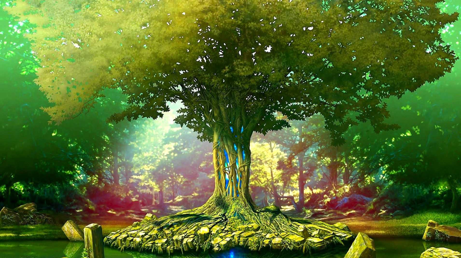Meditación Meditación