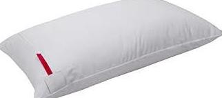 Funda de Almohada Anti-Chinches.Cremallera con Velcro. Funda de Almohada Anti-Chinches.Cremallera con Velcro.
