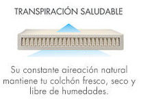 Transpiración total. Transpiración total.
