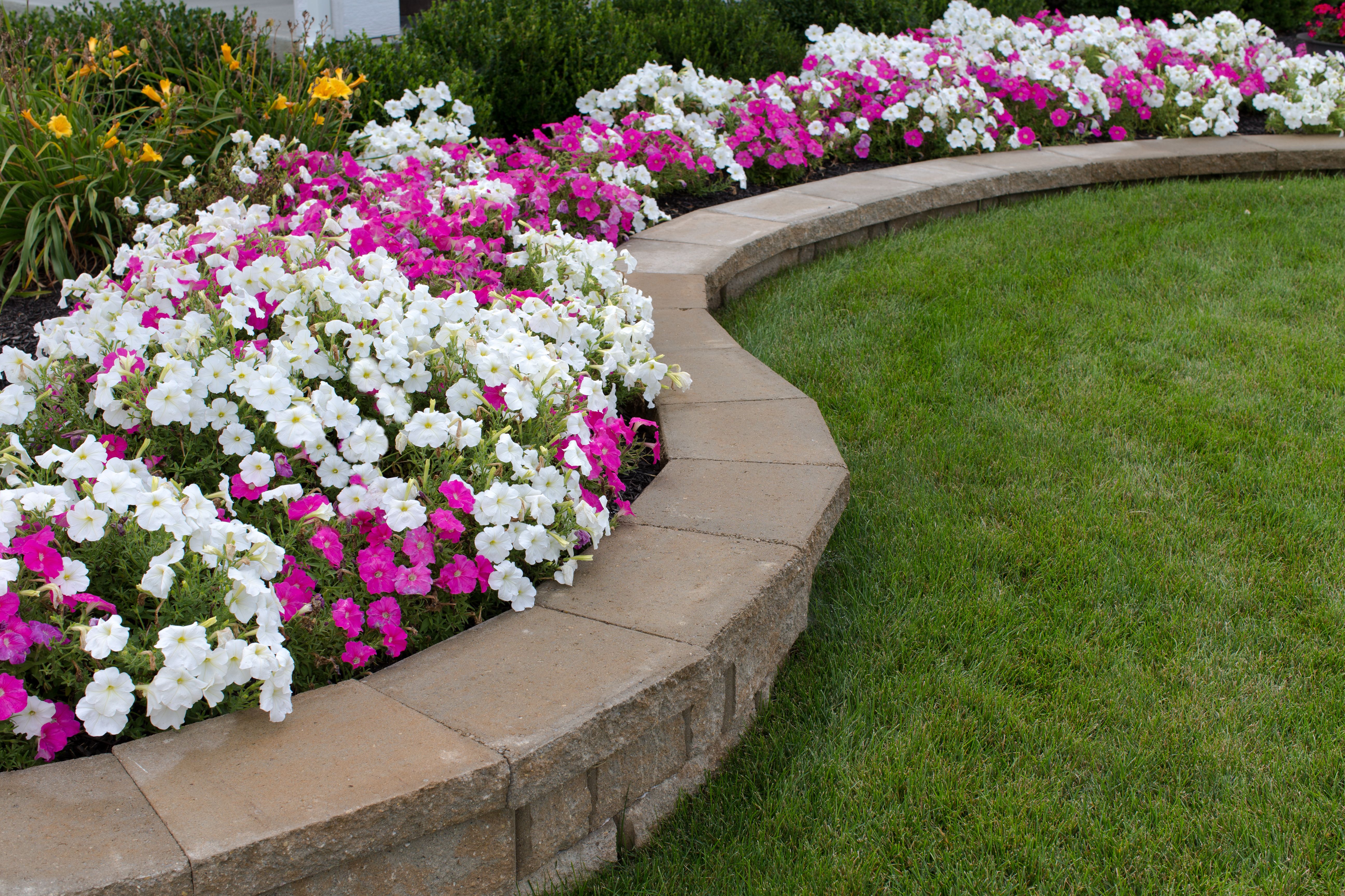 Jardines: Servicios de SM Servicios Integrales Jardines: Servicios de SM Servicios Integrales