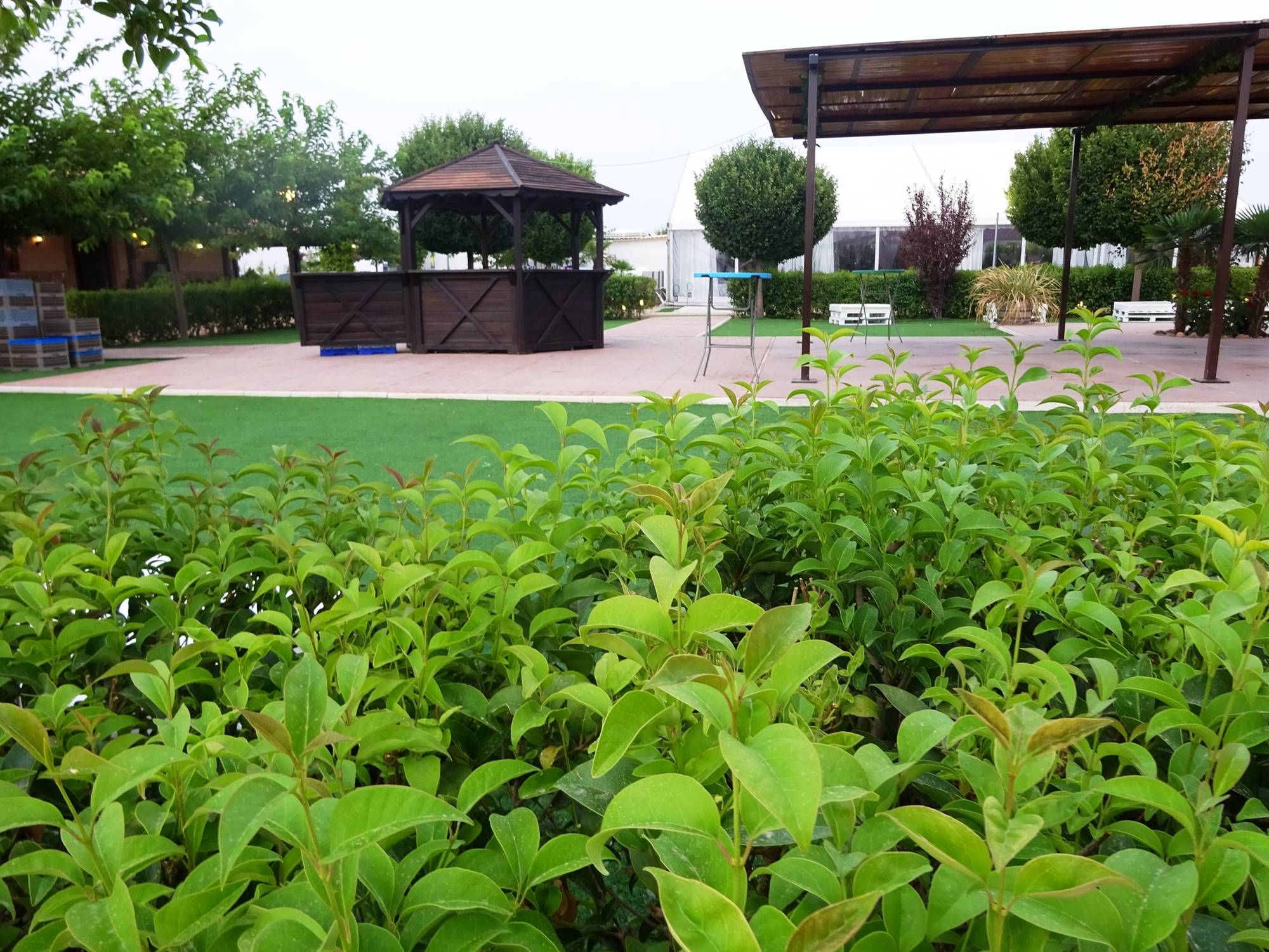 Instalaciones: Nuestro resturante de Restaurante Casa Justo Instalaciones: Nuestro resturante de Restaurante Casa Justo