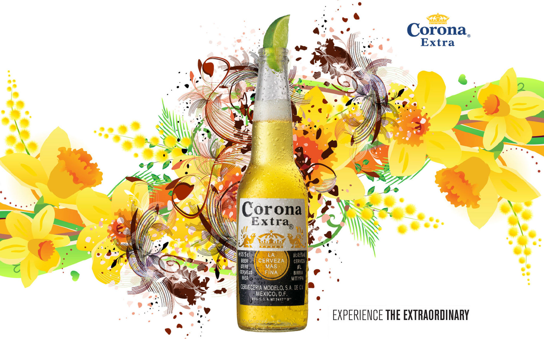 Cerveza Corona (Coronita): Productos de Hiper Licores Cerveza Corona (Coronita): Productos de Hiper Licores