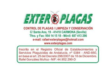 Desinfección Covid-19: Servicios de Exterplagas Desinfección Covid-19: Servicios de Exterplagas