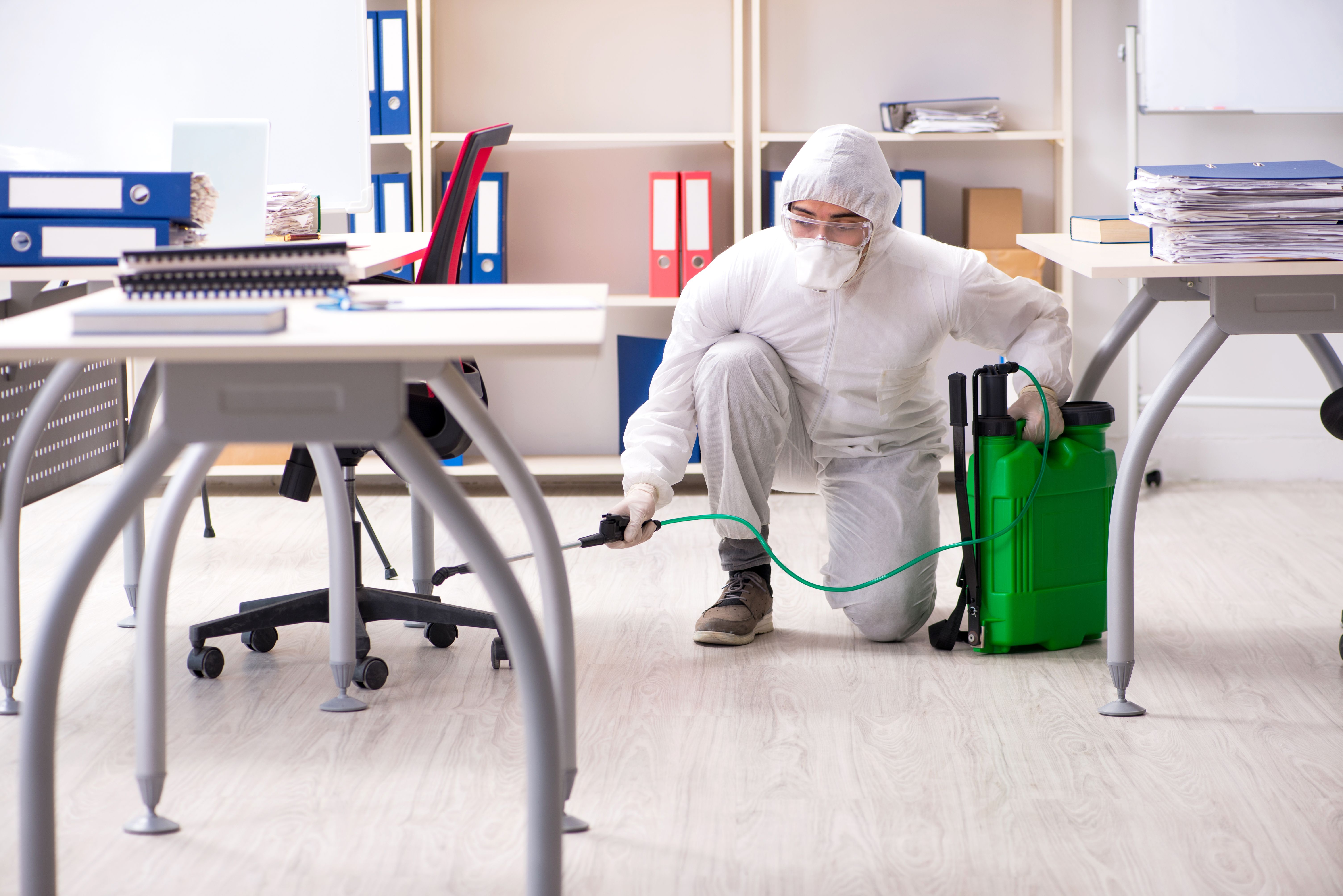 Procedimiento Coronavirus : Servicios de Exterplagas Procedimiento Coronavirus : Servicios de Exterplagas