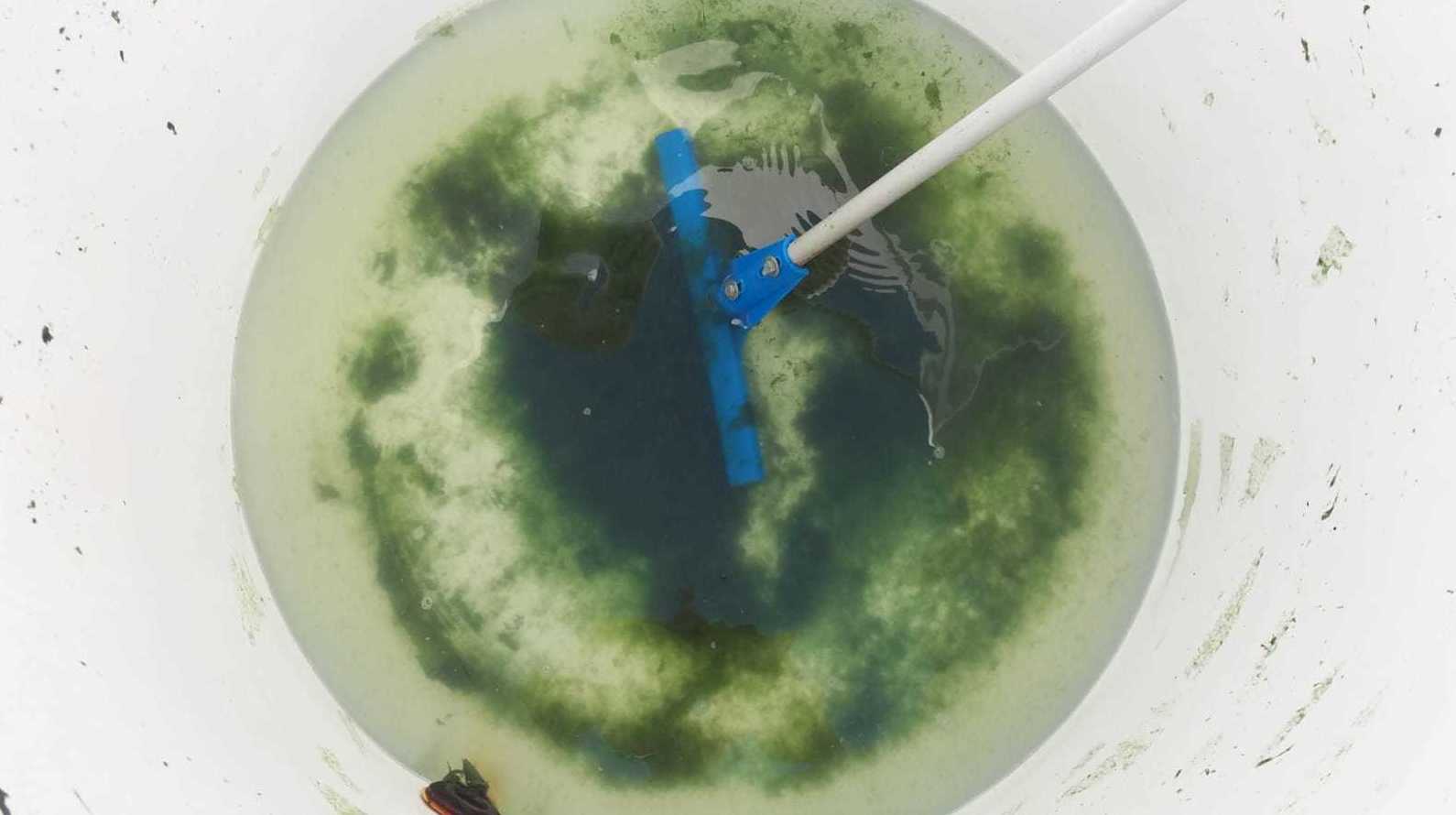 Limpieza de acumuladores de agua potable y aljibes: Servicios de Exterplagas Limpieza de acumuladores de agua potable y aljibes: Servicios de Exterplagas