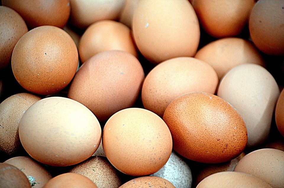 Oferta de huevos: Productos de CarnicerÃ­a Halal Kouider