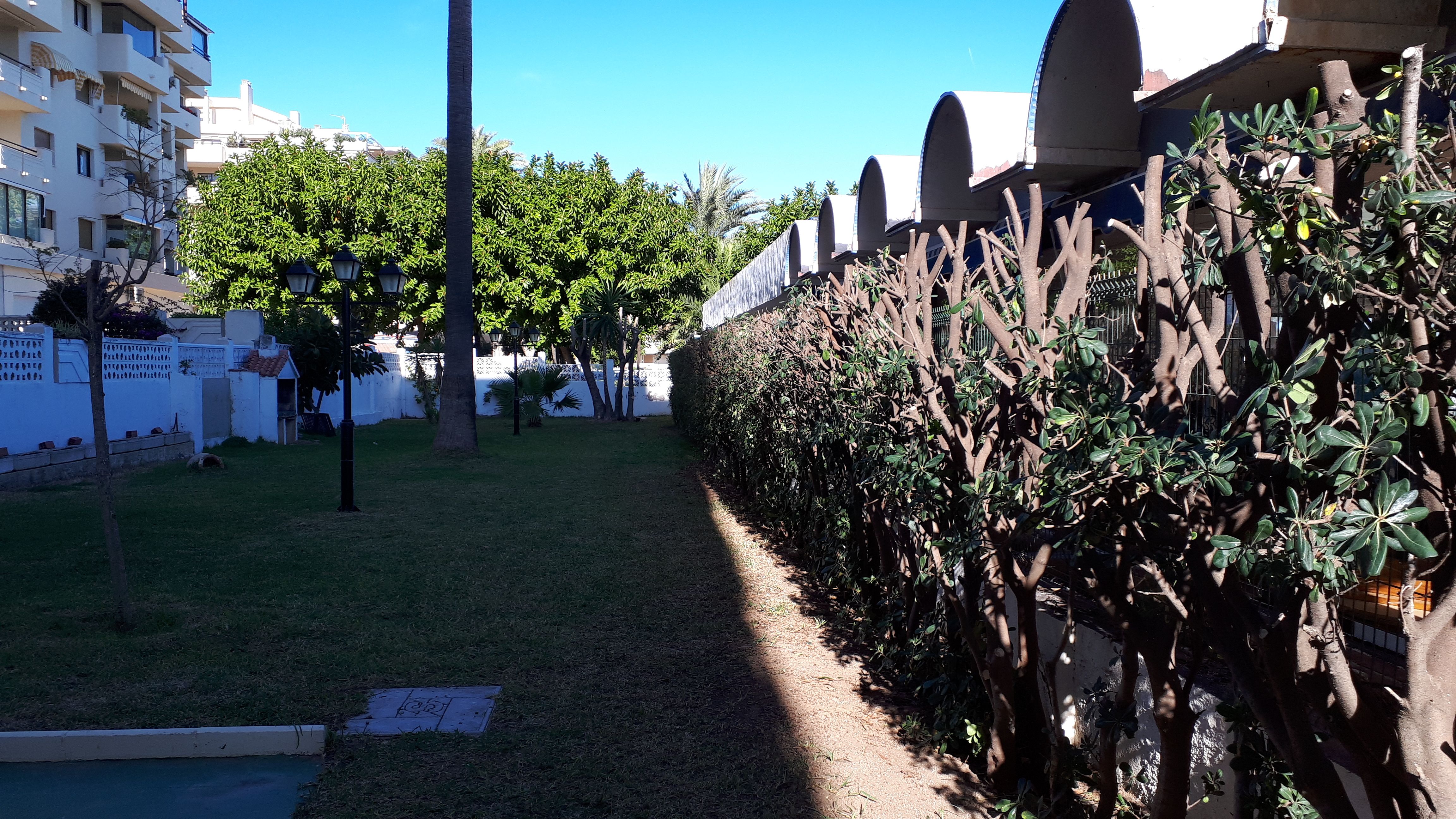 Diseño y mantenimiento de jardines: Servicios de Jardines JFK Diseño y mantenimiento de jardines: Servicios de Jardines JFK