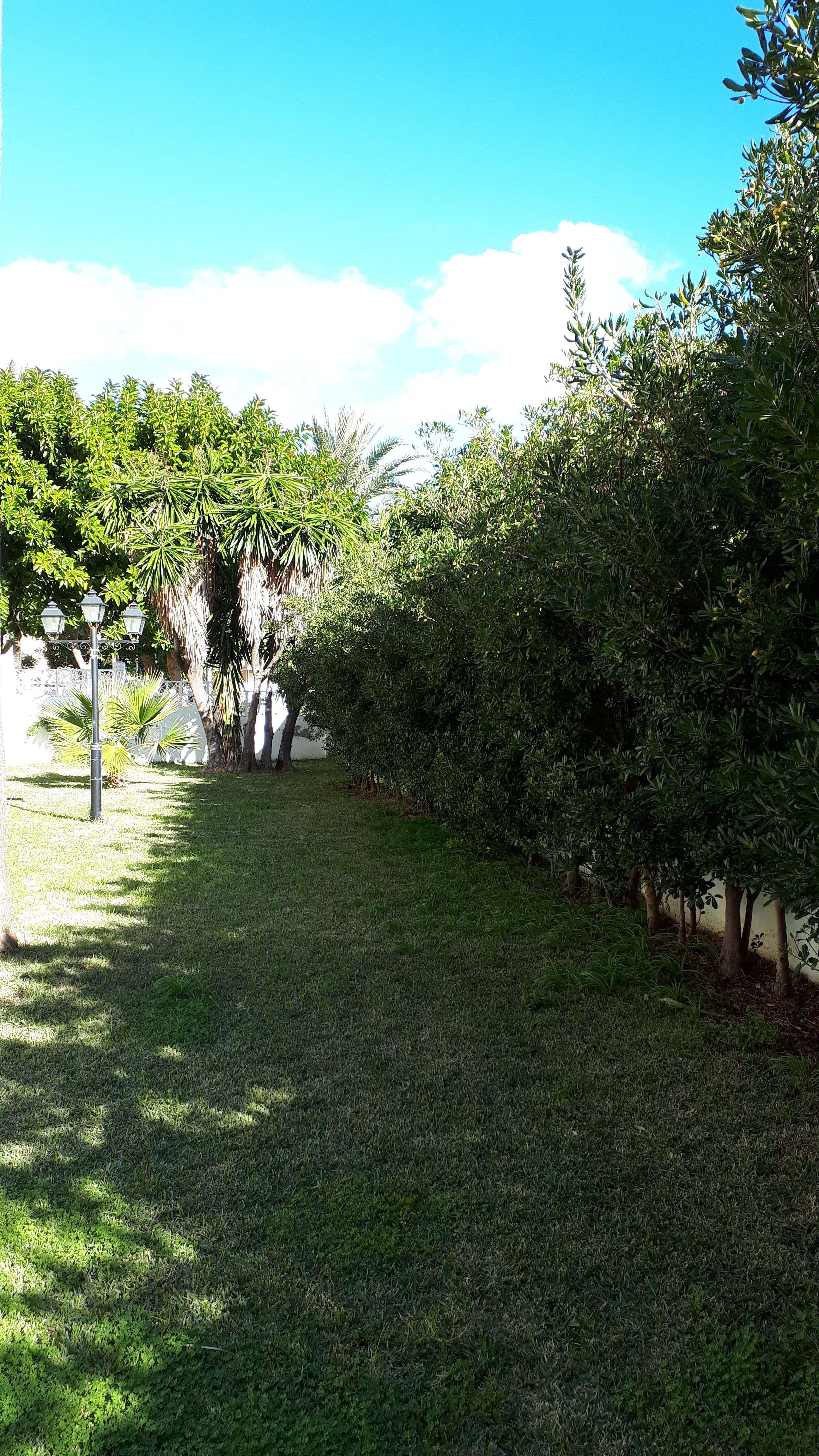 Diseño y mantenimiento de jardines: Servicios de Jardines JFK Diseño y mantenimiento de jardines: Servicios de Jardines JFK