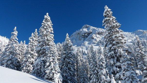 Ski resorts: Services de Dream Travel Canarias Ski resorts: Services de Dream Travel Canarias