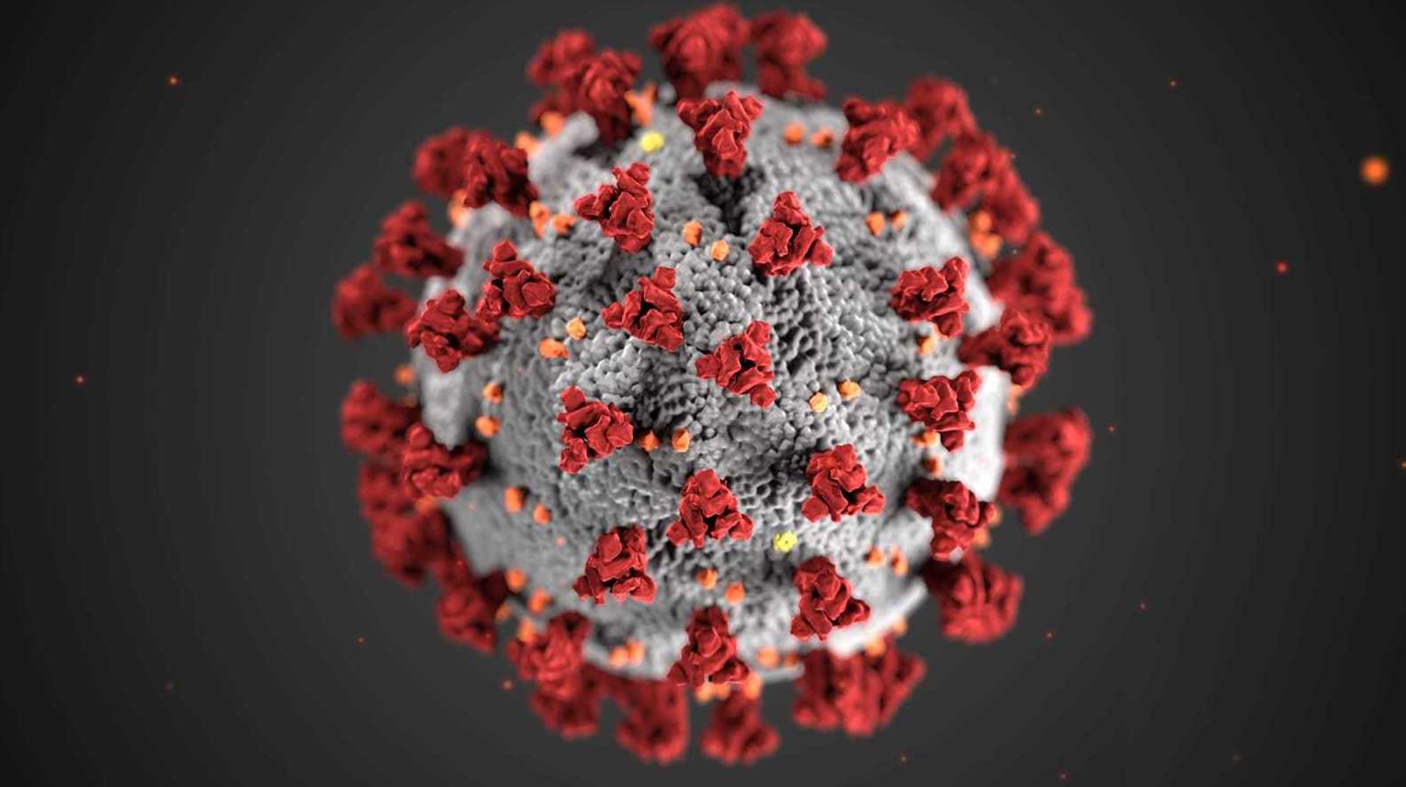 Coronavirus (Covid-19) Coronavirus (Covid-19)